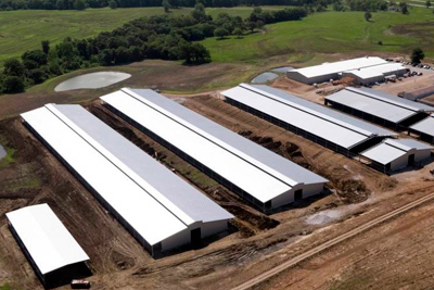 valley-oaks-farm