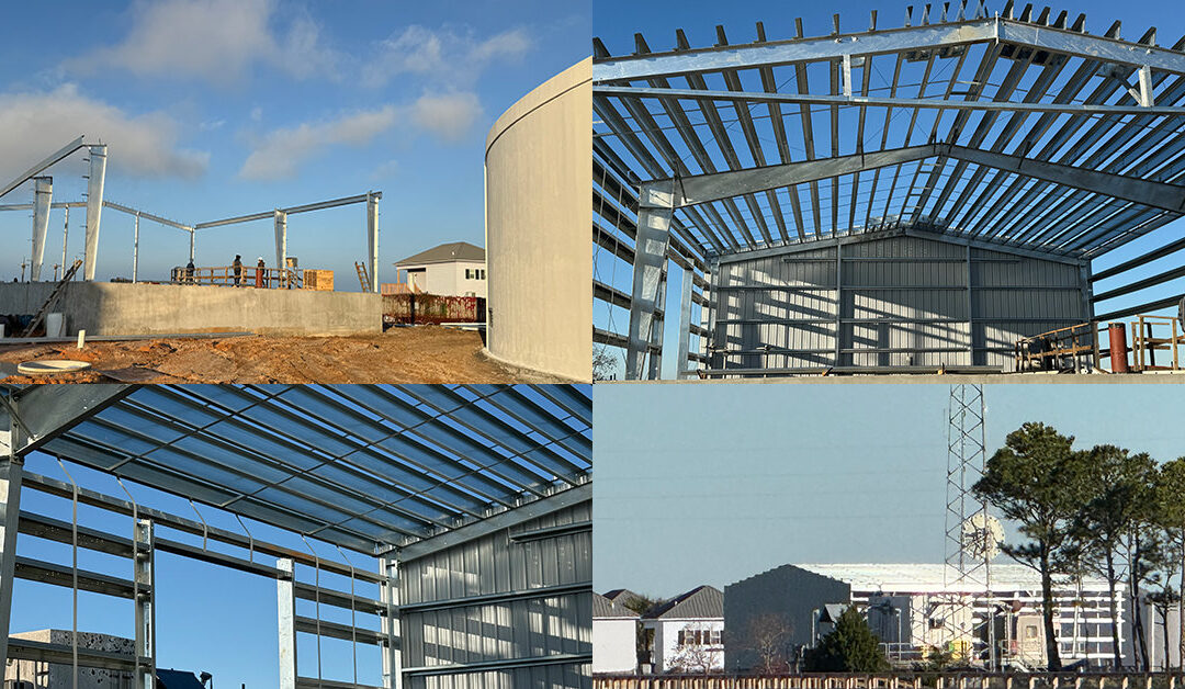 Newsletter January 2026