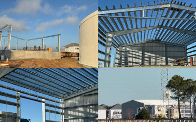 Newsletter January 2026